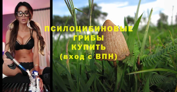 мяу мяу мука Алексин