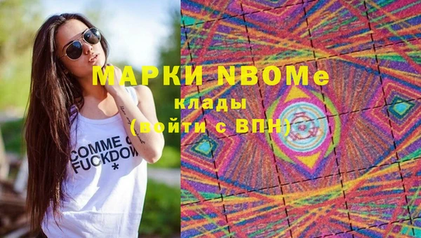 гашик Пестово