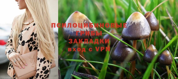 мяу мяу мука Алексин