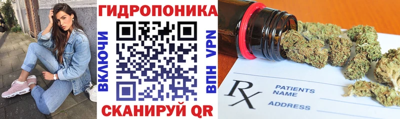 Каннабис сатива  Шацк 
